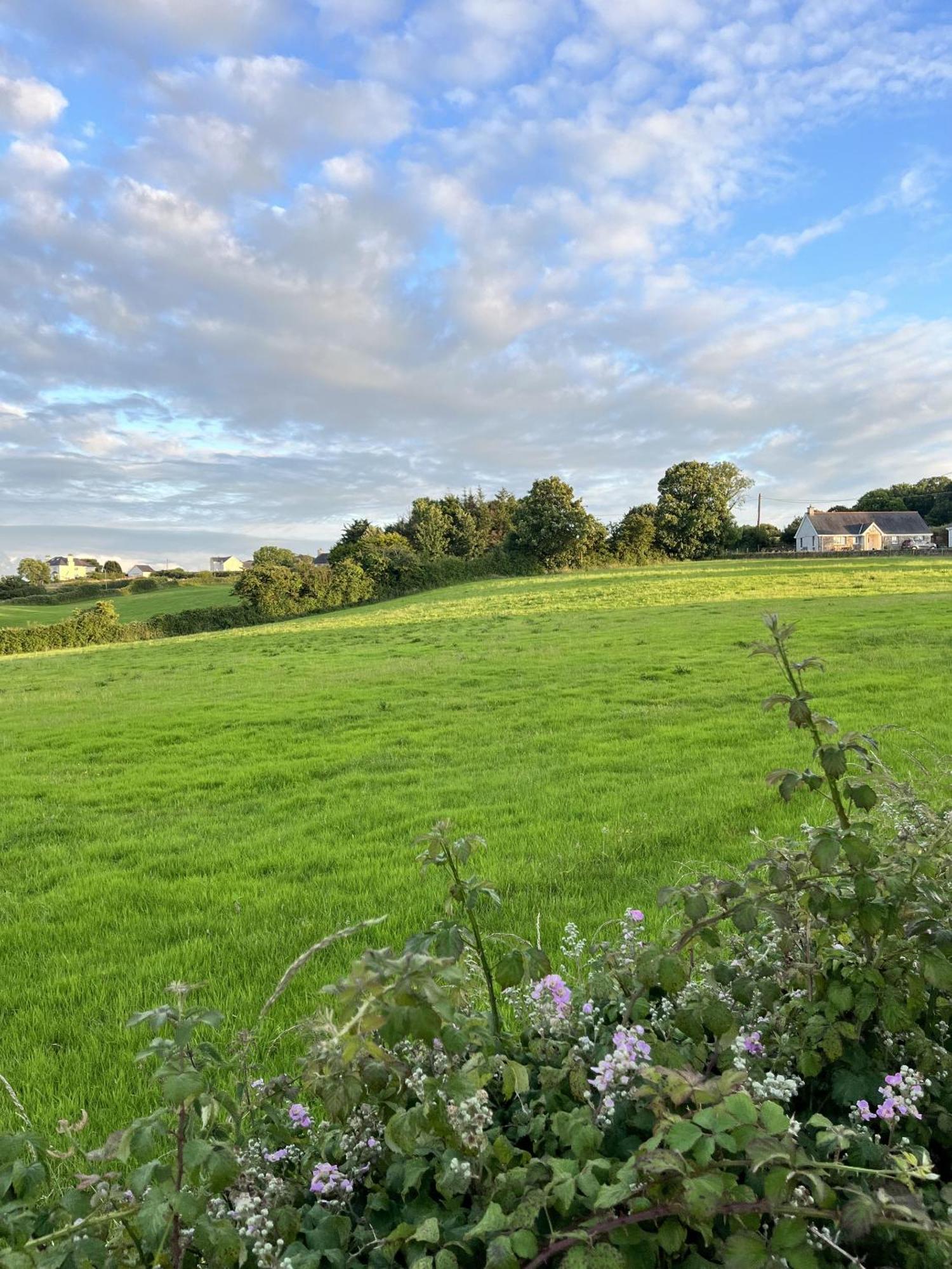 Ty Dderw Country Inn Moelfre Kültér fotó